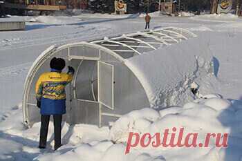 Официальная страница сайта - Завод 