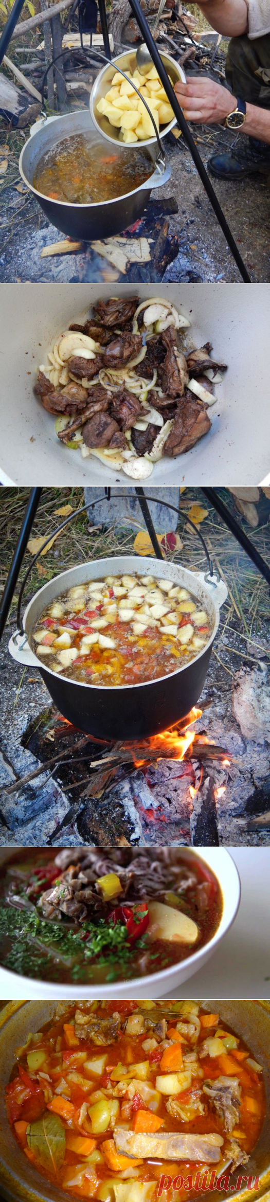 Вкуснейший осенний шулюм (баранина или утка) (кавказский, узбекский,охотничий)