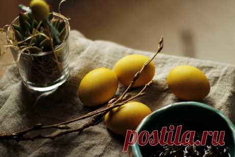 Пока еще почки тополя липкие и не раскрылись - самое время их собирать и заготавливать! Расскажу вам как их можно использовать | Живые вещи | Яндекс Дзен