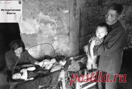 Китаянка спасла 30 детей, которых нашла на обочине дороги или в мусорных баках Китаянке Лю Сяоин уже 88 лет, всю жизнь она проработала сборщиком мусора. Только недавно мир узнал, что она настоящая героиня: Лю спасла и вырастила 30 детей, которых нашла на обочине дороги или в мусорных баках. Хотя она никогда не стремилась к славе – просто делала то, что...
