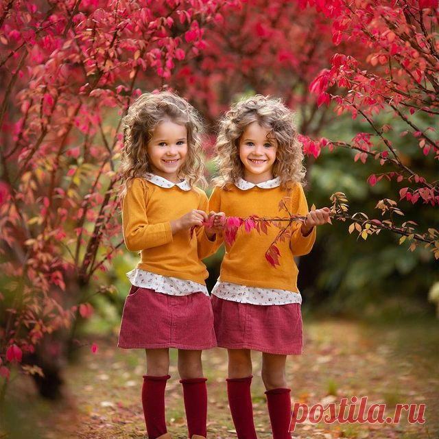 Photo by Diana Aleksandrovich on September 07, 2021. May be an image of 2 people, child, people standing, flower and outdoors. Image credit: savefrom.net
Современный интернет мир переполнен различными блогами.
Кто же такой видеоблогер?
Это человек, который взял камеру и начал снимать то что происходит вокруг.
Видеоблогеры делятся на множество направлений, кардинально отличающихся друг от друга.
В последнее время интернет общественность заразила детская тематика, данное направление пользуется с…