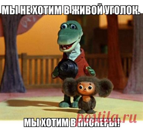 Любимые отечественные мультсериалы / Назад в СССР / Back in USSR