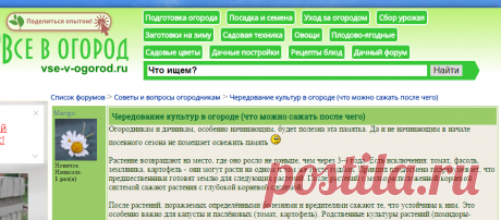 Чередование культур в огороде.