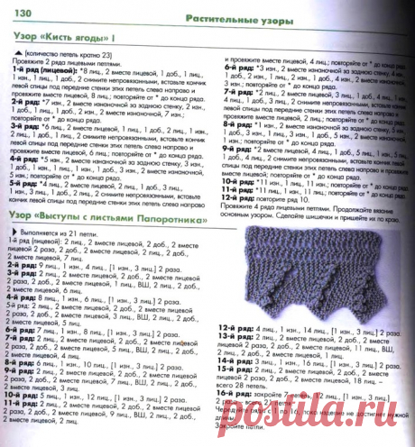 Кисть ягоды, папоротник.