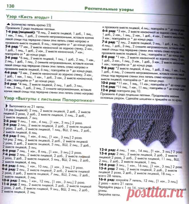 Кисть ягоды, папоротник.