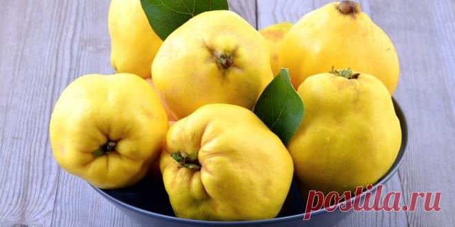 Что такое айва и как ее едят - состав, польза и противопоказания, использование плодов, косточек и листьев