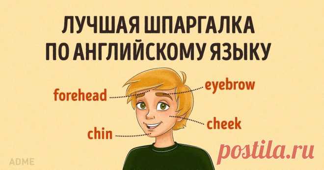 Лучшая шпаргалка по английскому языку Английский – самый популярный язык в мире. На нем, согласно статистике, разговаривает каждый двадцатый житель нашей планеты. Сегодня существует множество различных методик изучения языков, однако какую бы из них вы ни выбрали, вам всегда помогут старые добрые шпаргалки.