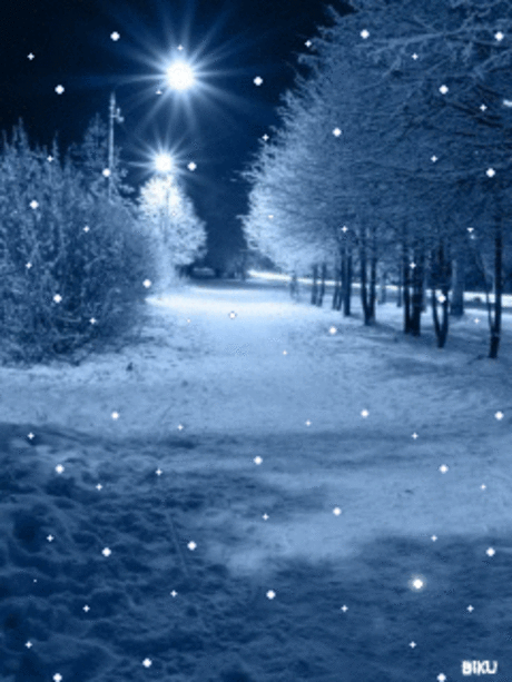 928254.gif (240×320)