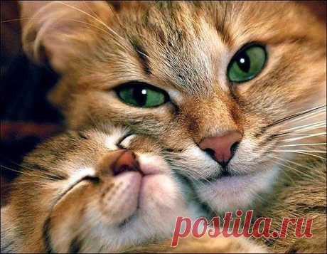 Позитив