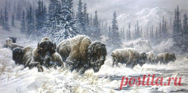 Мой Мир@Mail.Ru