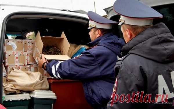 Провоз личных вещей и багажа в автомобиле согласно новому регламенту МВД