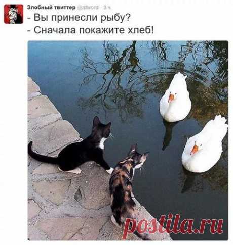 Заходит бизнесмен в офис с группой иностранцев и говорит секретарше.. — Пап, а сколько до Америки лететь? — Минут двадцать, сынок. Мама из кухни: — Он тебя про самолёт спрашивает, а не про твои "Тополя"!


Заходит бизнесмен в офис с группой иностранцев и говорит секрета…