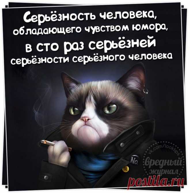 "По-моему, мне надо перестать думать. Я долго думал, прежде чем пришел к этому заключению" (Фредерик Бегбедер)