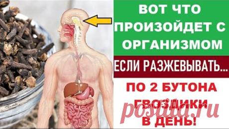 ТЕПЕРЬ В ОБЯЗАТЕЛЬНОМ ПОРЯДКЕ ЖУЮ СУШЕНУЮ ГВОЗДИКУ!