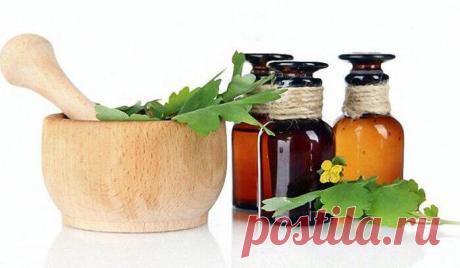 Настойка чистотела на водке – Средство от ста болезней