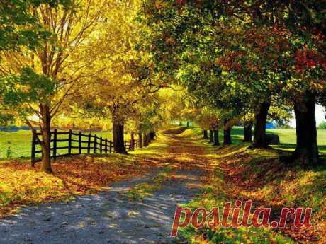 Пора осенних листопадов