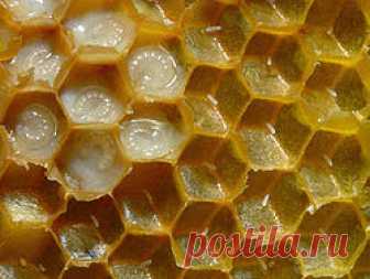 Маточное молочко                                     Маточное  молочко/ Royal jelly                                                                                   INCI  :  Royal jelly  Внешний вид:   порошок  светло желтого цвета с характерным запахом  или мутная жидкость белесоватого цвета.  Способ получения:       сухой экстракт: методом лиофилизации свежего маточного молочка;    жидкий экстракт: диспергирование свежего маточного молочка в глицерине.     Растворимость...