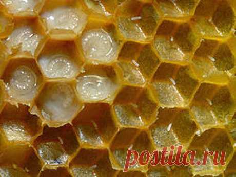 Маточное молочко                                     Маточное  молочко/ Royal jelly                                                                                   INCI  :  Royal jelly  Внешний вид:   порошок  светло желтого цвета с характерным запахом  или мутная жидкость белесоватого цвета.  Способ получения:       сухой экстракт: методом лиофилизации свежего маточного молочка;    жидкий экстракт: диспергирование свежего маточного молочка в глицерине.     Растворимость...