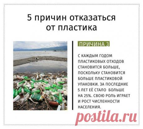 старайтесь постепенно уменьшать использование пластиковых пакетов и бутылок.