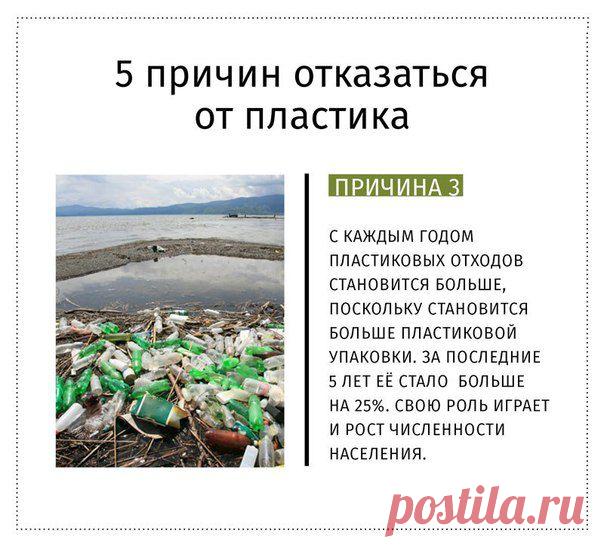 старайтесь постепенно уменьшать использование пластиковых пакетов и бутылок.