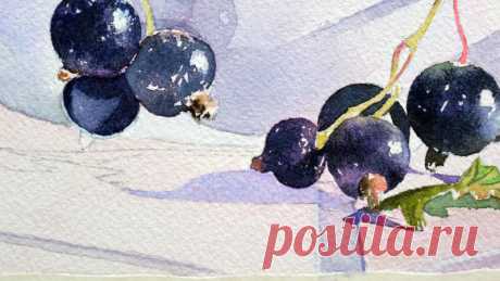 Cassis &amp; Groseilles « En rouge et Noir »