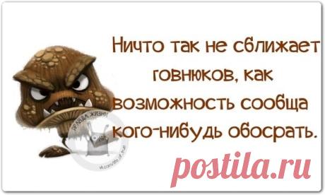 Выпуск №3082 - выпуск анекдотов сайта вокруг смеха