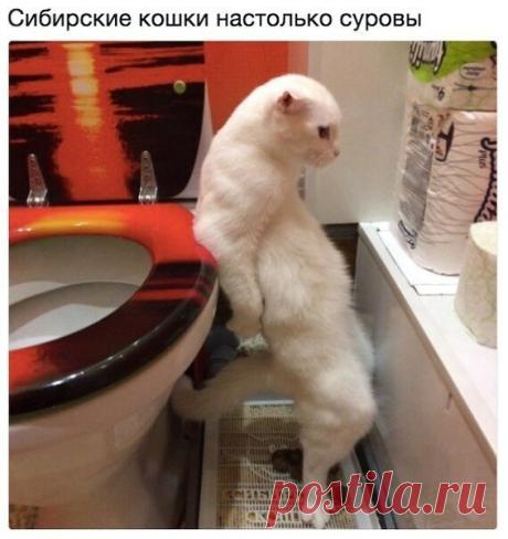Интересные новости