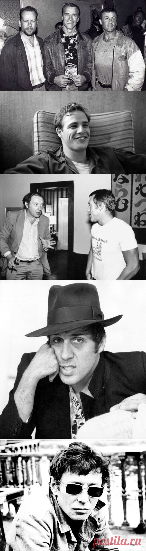 Суперфотографии с харизмой