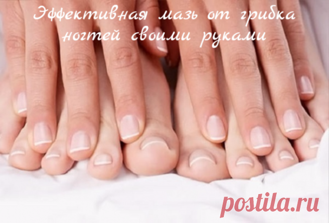 Эффективная мазь от грибка ногтей своими руками