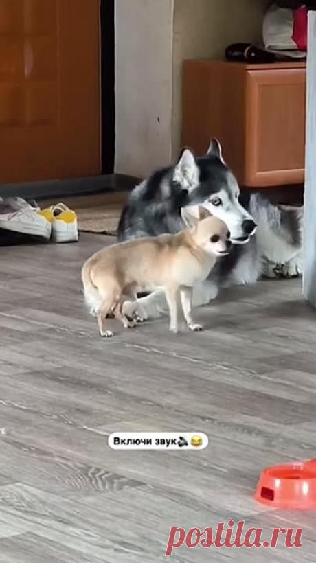 (19) Одноклассники