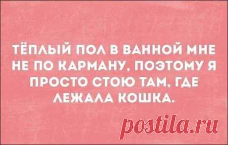 Смешные «Аткрытки»                      ( 21 фото ) | Краше Всех