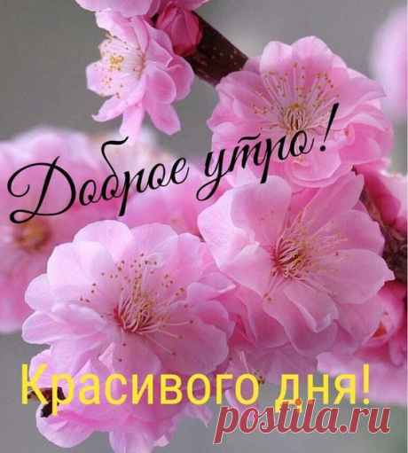 (2391) Pinterest