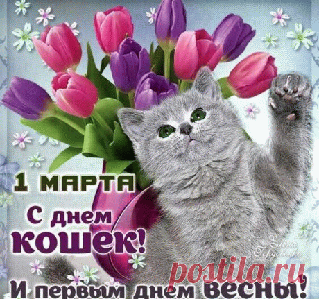 С Днем кошек и первым днем весны!