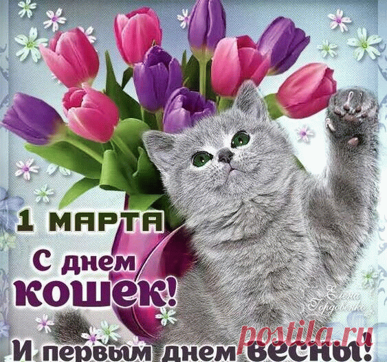 С Днем кошек и первым днем весны!
