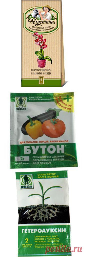 Биорегуляторы роста и развития комнатных растений | GreenHome