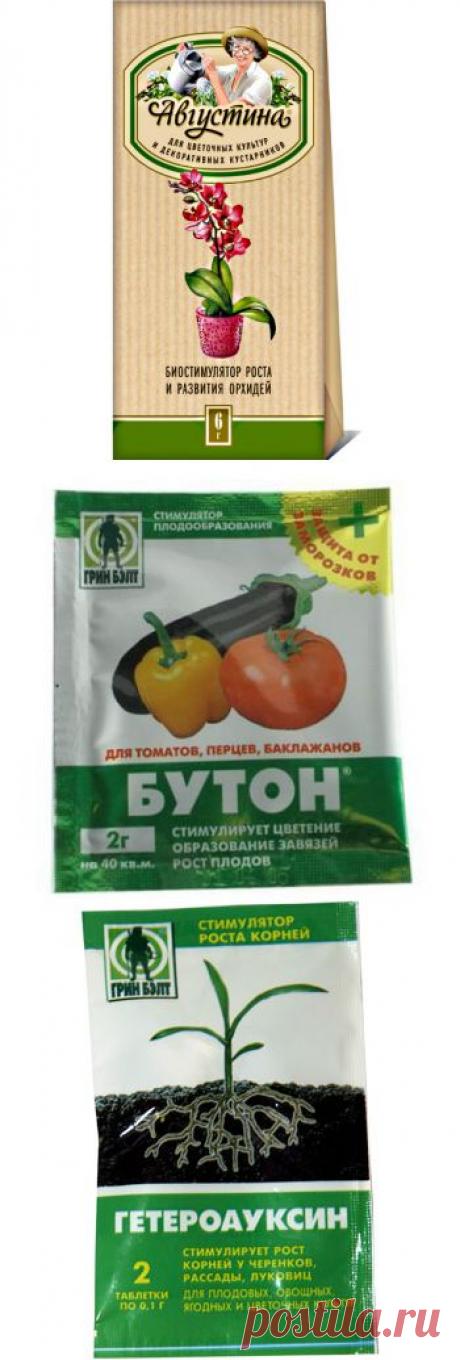 Биорегуляторы роста и развития комнатных растений | GreenHome