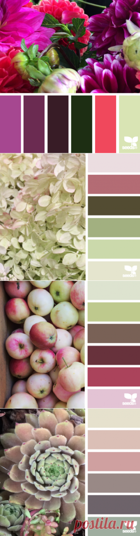 design seeds | for all who ♥ color