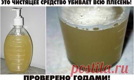 ПРОВЕРЕННОЕ СРЕДСТВО ОТ ПЛЕСЕНИ — Копилочка полезных советов