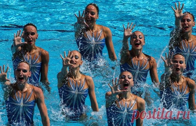 © Валерий Шарифулин/ТАСС. РИО-ДЕ-ЖАНЕЙРО, 19 августа. /Спец. корр. ТАСС Екатерина Мухлынина/. Главный тренер сборной России по синхронному плаванию Татьяна Покровская пока не обсуждала с командой, кто из спортсменок завершит карьеру после Олимпийских игр. Подробнее на ТАСС: http://tass.ru/sport/3552221 |  ТАСС: Спорт - Тренер пока не обсуждала с командой, кто из синхронисток РФ завершит карьеру после ОИ