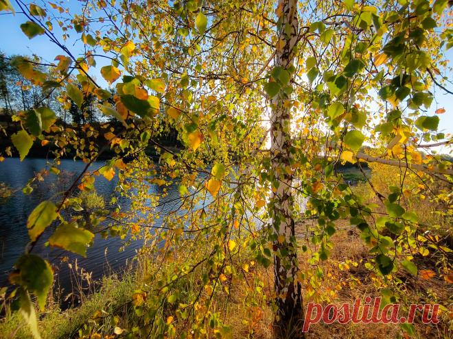 Фотографии жанра - Пейзаж. Профессиональные фото-сообщество 35PHOTO