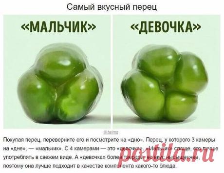 Интересные новости