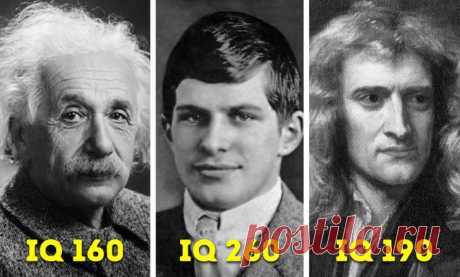 История самого умного человека из когда-либо живших на Земле, о котором вы наверняка не слышали