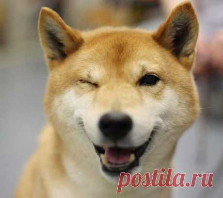 Позитивные фотографии