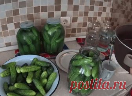 Консервирование огурцов холодной водой