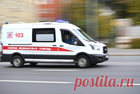 Семилетняя россиянка госпитализирована после нападения бездомных собак. Семилетняя девочка госпитализирована в Ухте после того, как на нее напали бездомные собаки. Организована доследственная проверка. Инцидент произошел во дворе жилого дома по улице Молодежная в поселке Дальний. Девочку доставили в больницу с телесными повреждениями. По информации СК, ей уже оказана медицинская помощь.