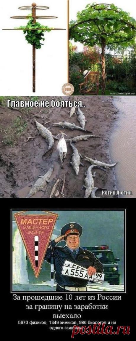 Одноклассники