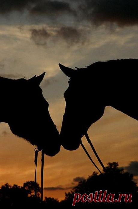 Найдено на сайте thephotoargus.com.