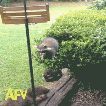 Популярное – Google+