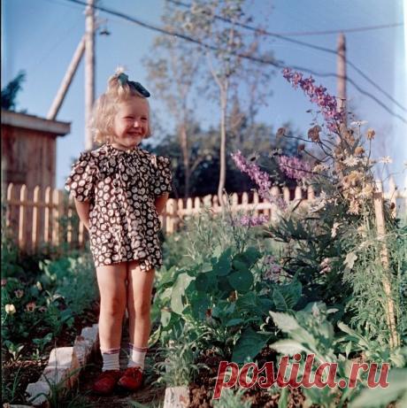 50-е годы в фотографиях Фридлянда в цвете