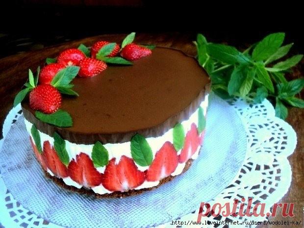 Дневник Полисота